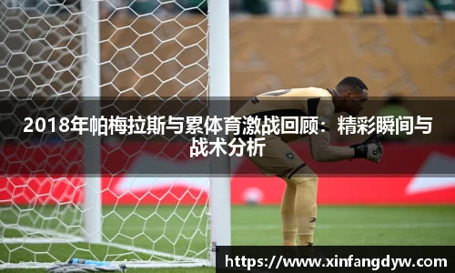 球速体育手机网页版登录